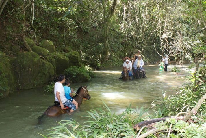 Cabalgata en la hacienda - 1