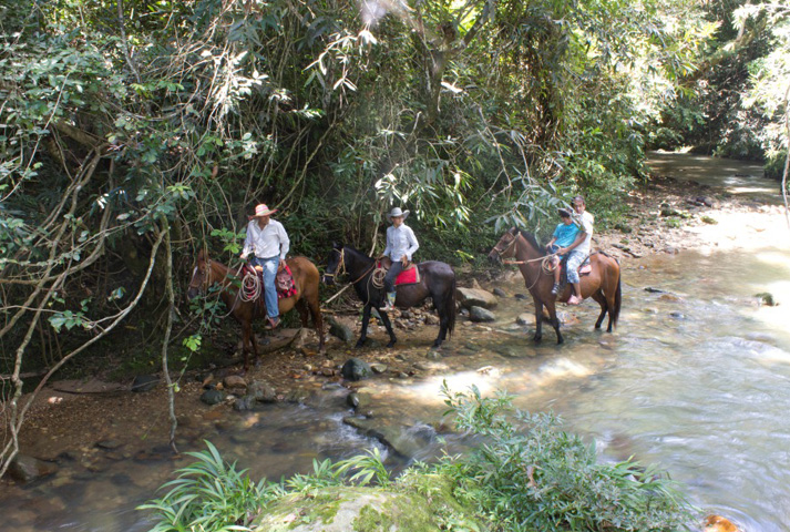 Cabalgata en la hacienda - 3