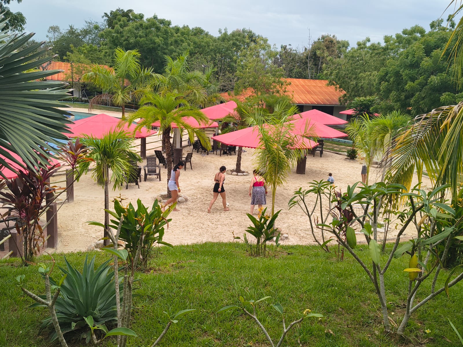 Zona de recreación con sombrillas y palmeras